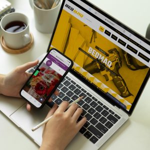 Sitio Web Experto
