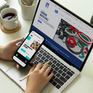 Sitio Web Estándar