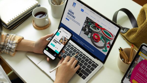Sitio Web Estándar